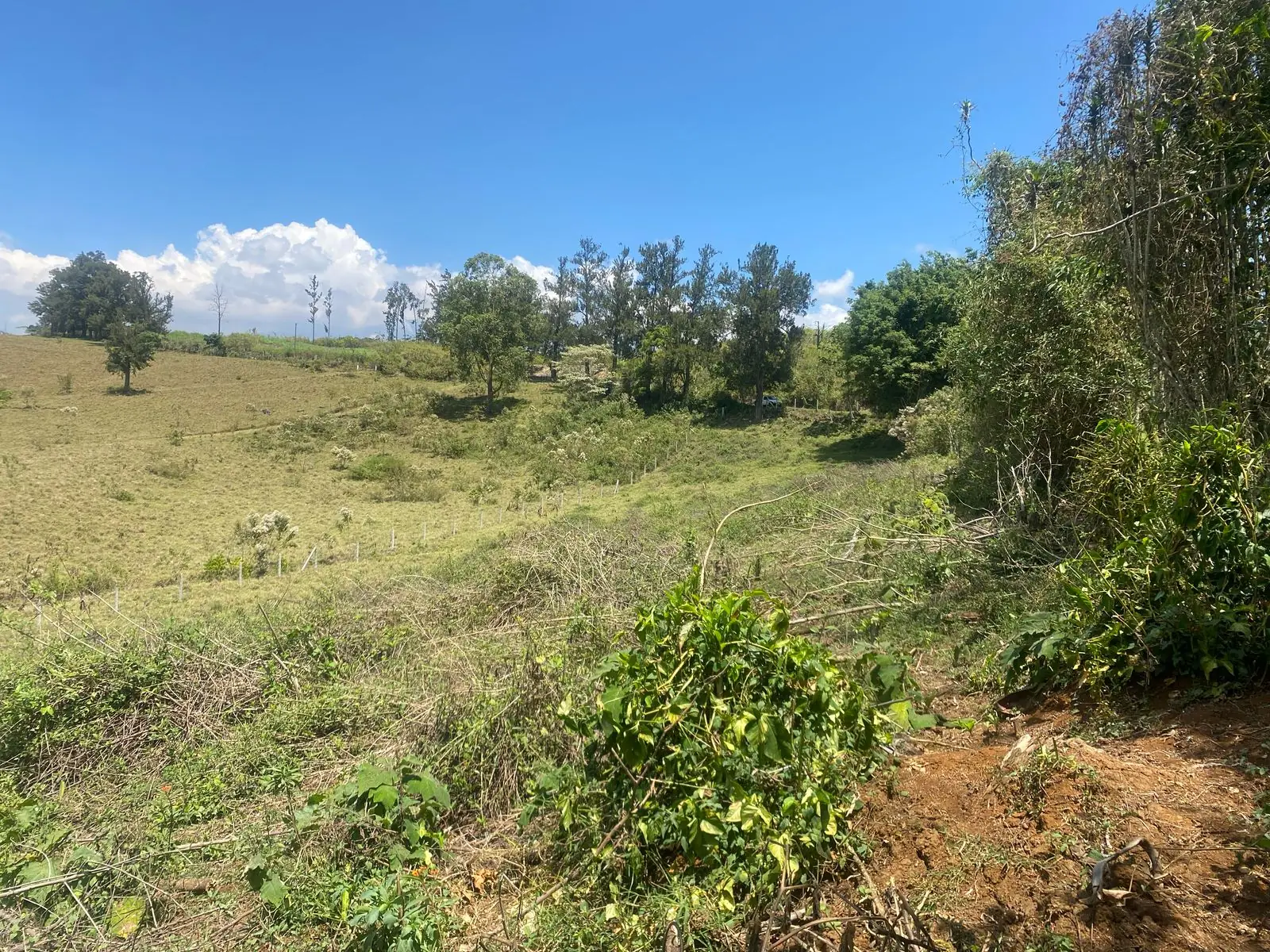 Finca Vista vista 2